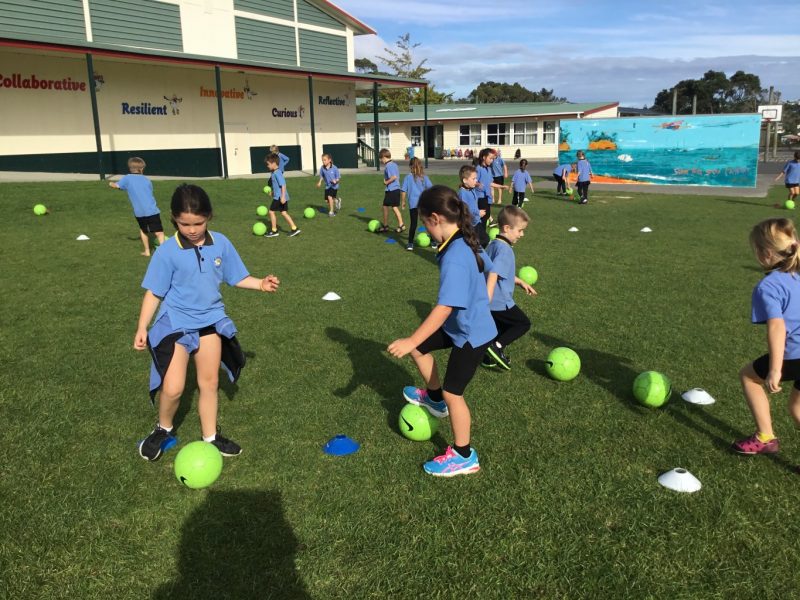 Sports Torbay School