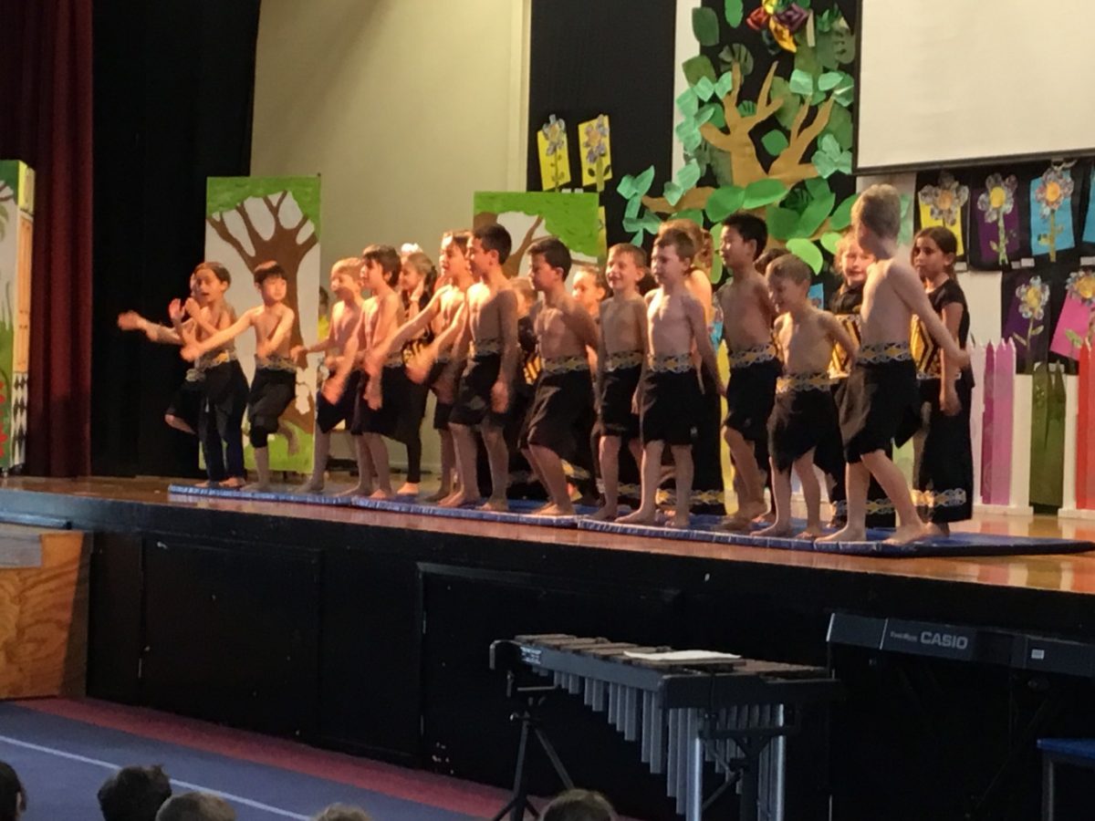 Our Curriculum Torbay School